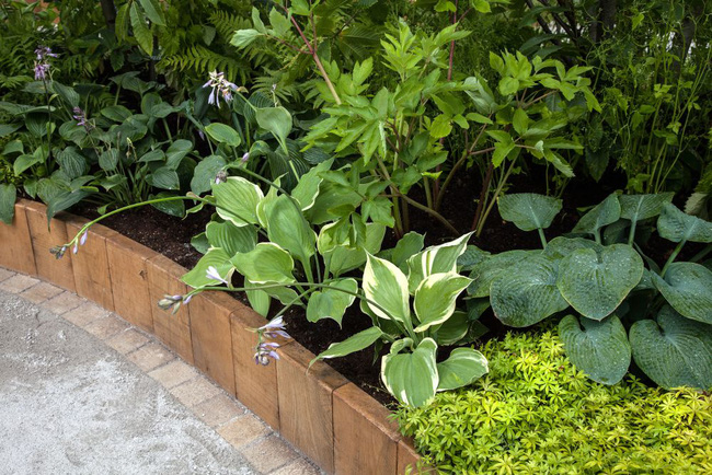 10 cách để hô biến sân vườn nhỏ trước nhà trở nên lung linh