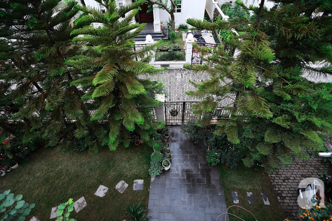 Biệt thự sân vườn sở hữu những khoảng xanh đẹp đến từng chi tiết của vợ chồng KTS ở Hà Nội