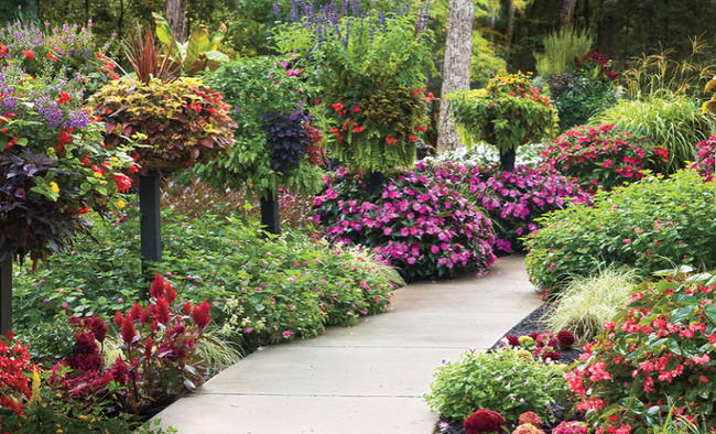4 ý tưởng trang trí sân vườn bằng các loài hoa cho mùa hè rực rỡ