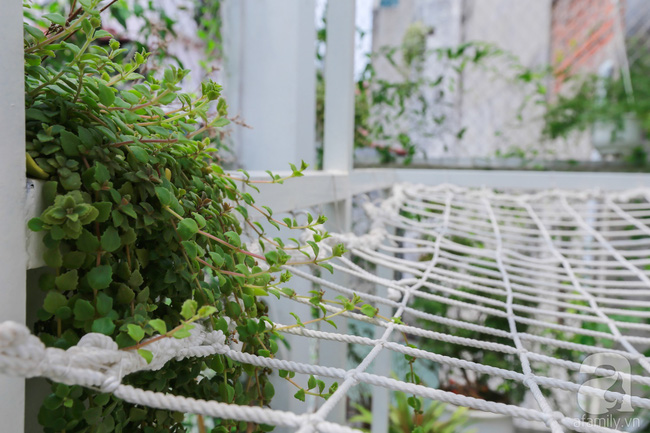 Khu vườn “điều hòa” không sợ nắng mùa hè của chủ nhân 9x ở Thái Thịnh, Hà Nội