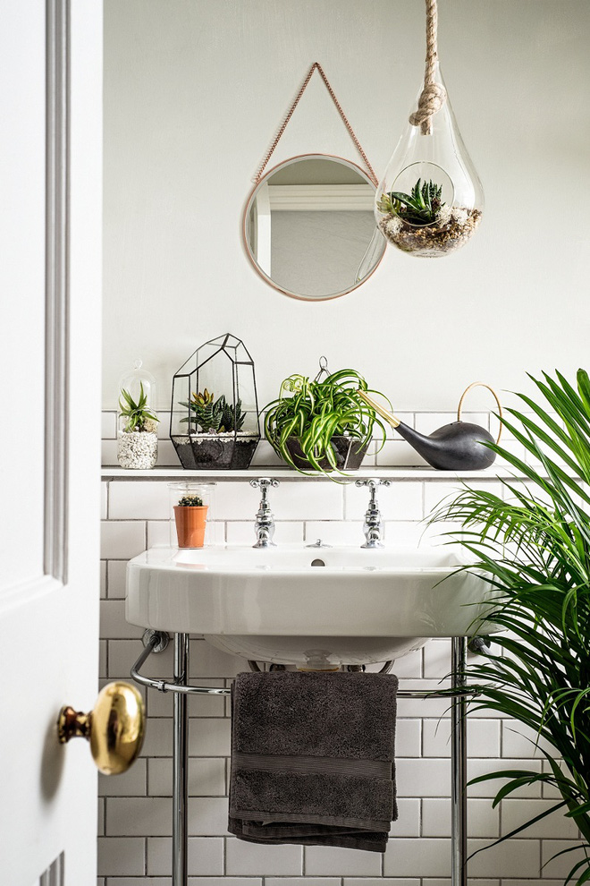“Nhà tắm thực vật” – cách đơn giản để nhà tắm thêm mát mẻ trong ngày hè nắng nóng
