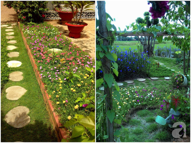Chàng trai 9x biến mảnh đất trống thành khu vườn toàn hoa rực rỡ chỉ sau 2 tháng thi công