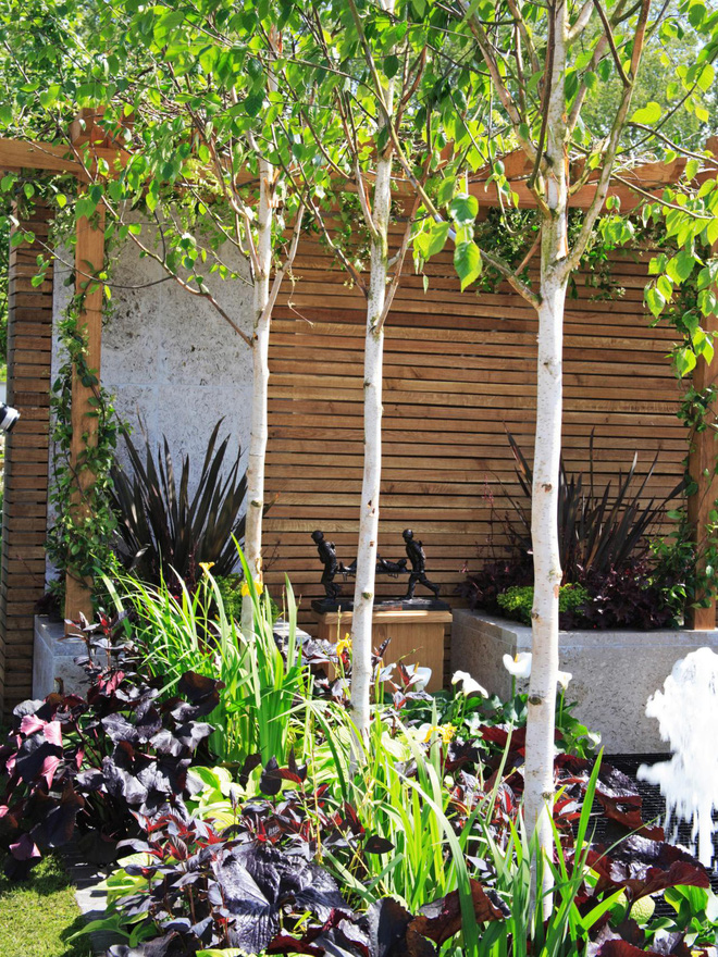 10 mẫu hàng rào vừa đẹp vừa tiết kiệm chi phí cho khu vườn nhà bạn thêm xinh