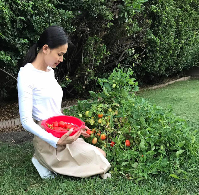 Cận cảnh khu vườn có nhiều loại rau củ Việt của hoa hậu Dương Mỹ Linh trên đất Mỹ