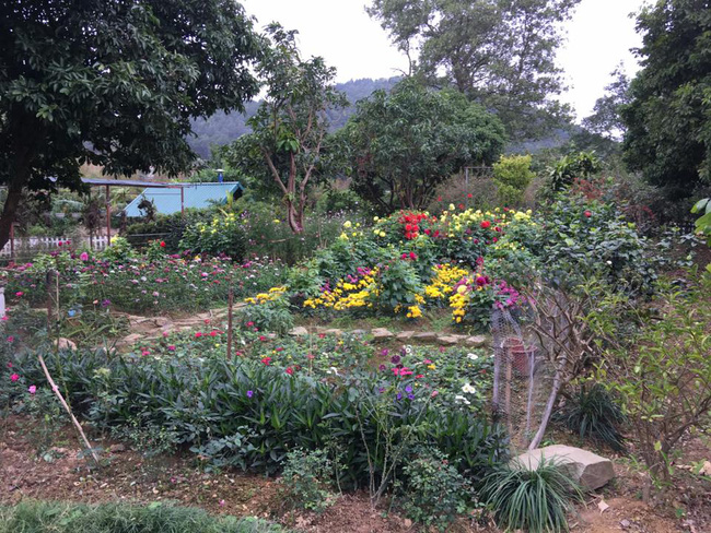 Cuộc sống bình yên của gia đình ca sĩ Mỹ Linh trong nhà vườn ngập tràn sắc hoa ở ngoại ô