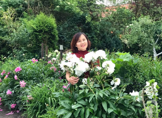Khu vườn hoa mẫu đơn rộng 1000m² đẹp như trong cổ tích của mẹ Việt ở Đức