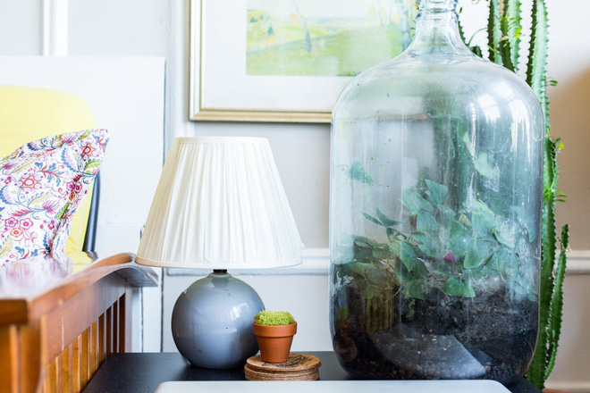 Căn hộ 30m² nhưng có cả góc thiền và khu vườn xanh mướt mắt của cặp đôi cá tính - Ảnh 8. Căn hộ 30m² nhưng có cả góc thiền và khu vườn xanh mướt mắt của cặp đôi cá tính