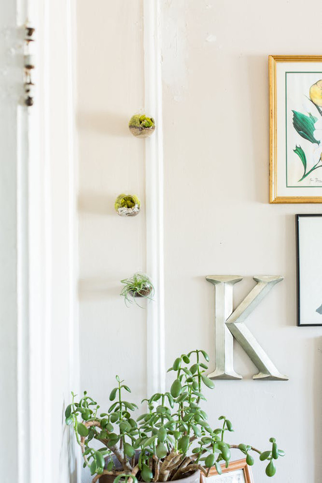 Căn hộ 30m² nhưng có cả góc thiền và khu vườn xanh mướt mắt của cặp đôi cá tính - Ảnh 10. Căn hộ 30m² nhưng có cả góc thiền và khu vườn xanh mướt mắt của cặp đôi cá tính